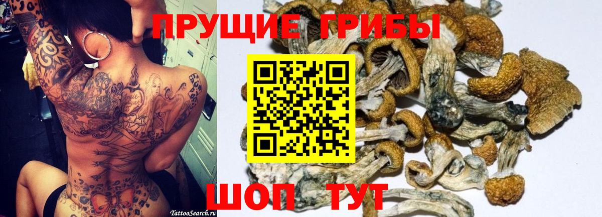 Галлюциногенные грибы Magic Shrooms Выборг