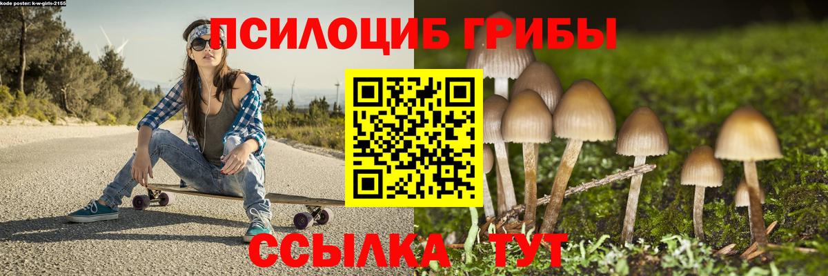 Выборг  Галлюциногенные грибы Psilocybine cubensis  Вход с VPN 